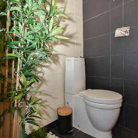 Apartment Salineiras Center